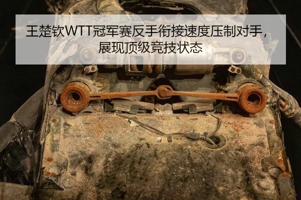 王楚钦WTT冠军赛反手衔接速度压制对手，展现顶级竞技状态