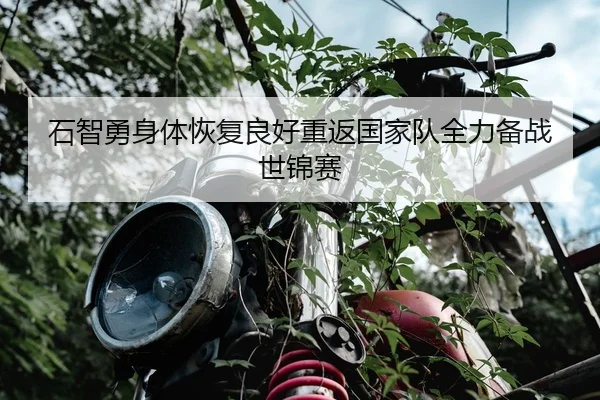 石智勇身体恢复良好重返国家队全力备战世锦赛